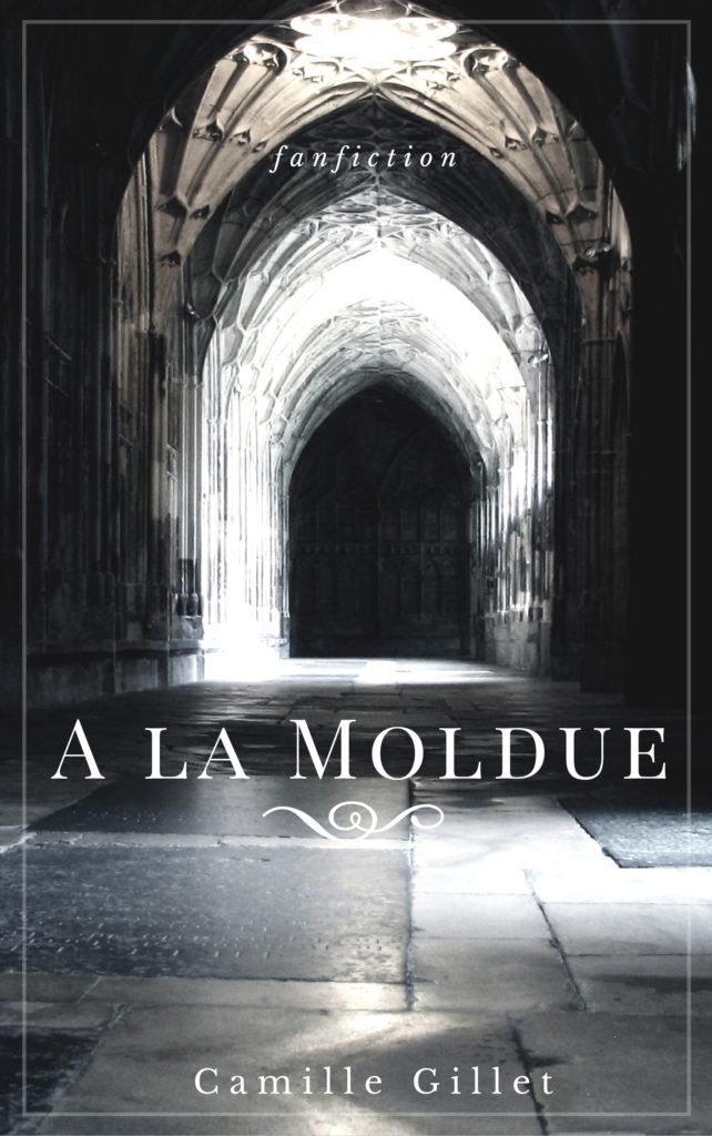 A la Moldue fanfiction Harry Potter par Camille Gillet